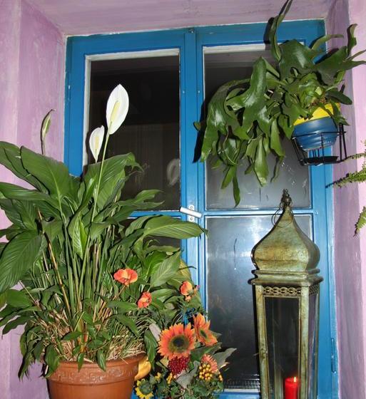 Herberge El Bocado 20