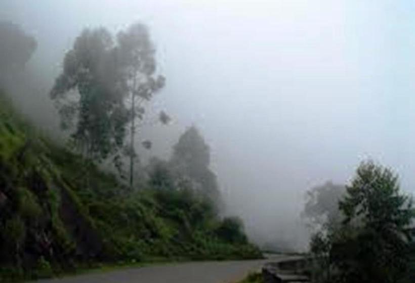 Kodai Mist Resort 16