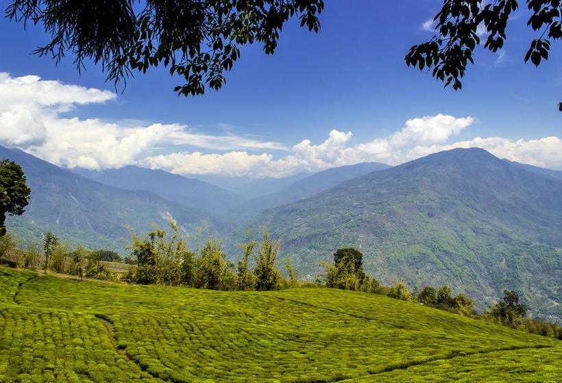 Hotel Khangsar Dhondup 5