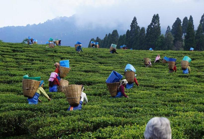 Hotel Khangsar Dhondup 6