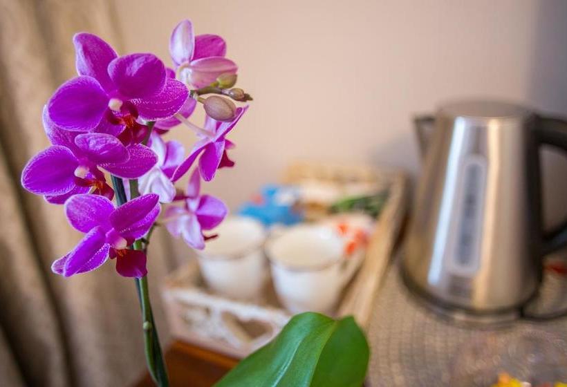 Bed and Breakfast La Vida Luka Luxury Guesthouse 12