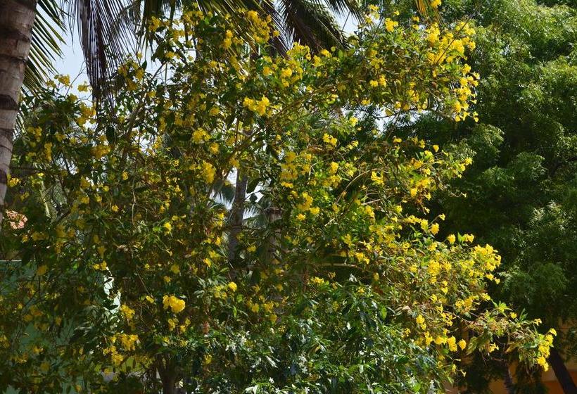 Bed and Breakfast Golden Nest 17