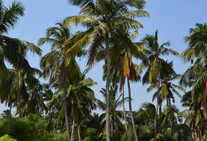 Bed and Breakfast Golden Nest 18