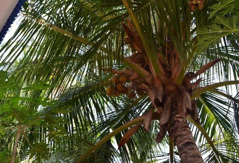 Bed and Breakfast Golden Nest 19