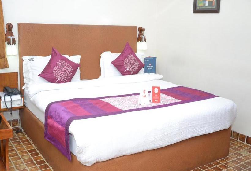 Hotel Oyo Rooms Mvp Colony Sector 1 10