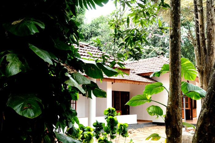 Resort Verdure Wayanad 3