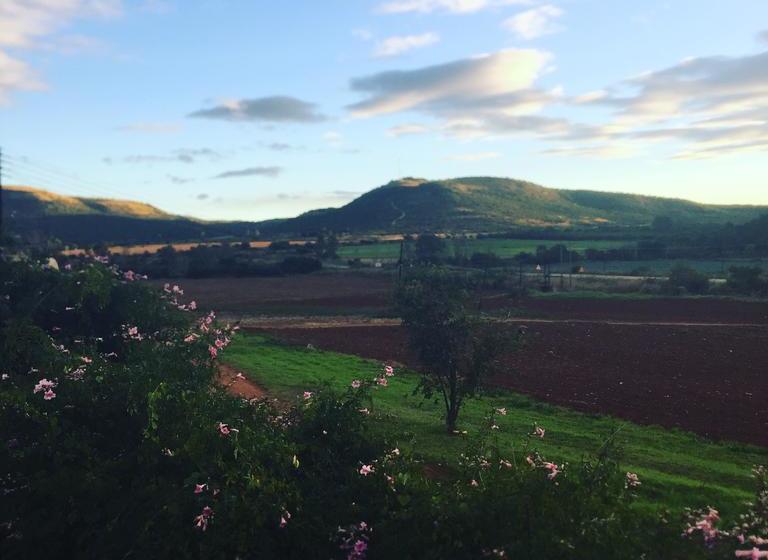 Bed and Breakfast Kingfisher Cottage 6