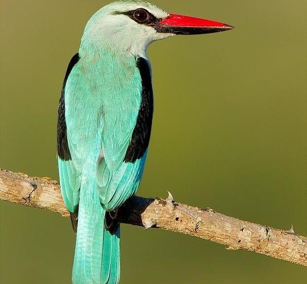 Bed and Breakfast Kingfisher Cottage 9