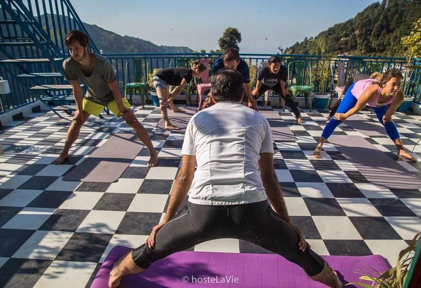 Hostelavie Mcleodganj Himachal Pradesh