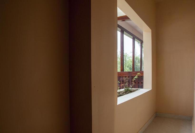 Hotel Rains Inn Eco 5