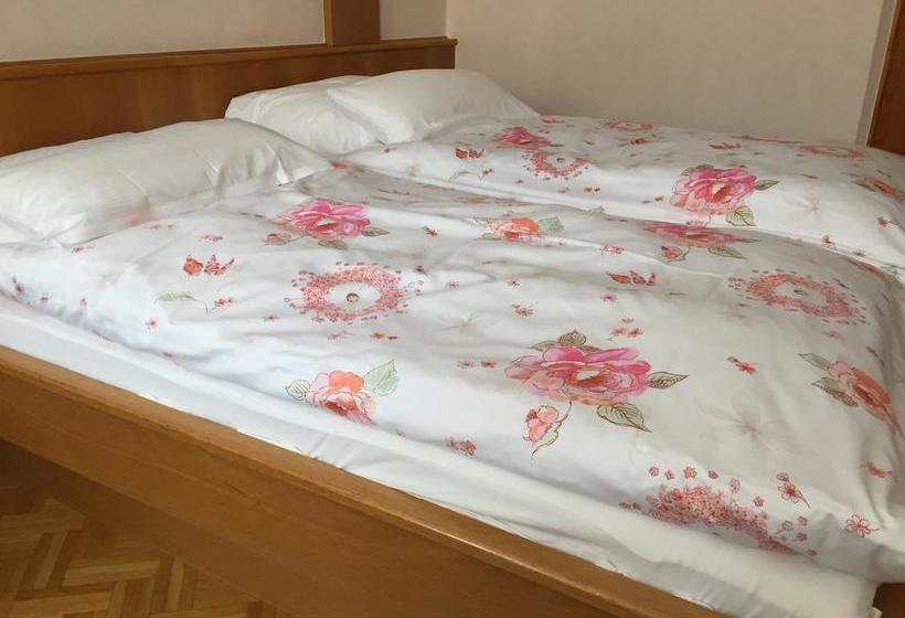 Hotel Gasthof Schiff 1