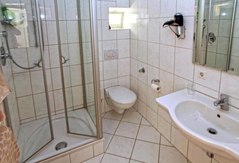 Hotel Gasthof Schiff 7