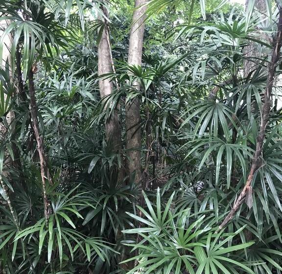 339 Hotels & Resort 7