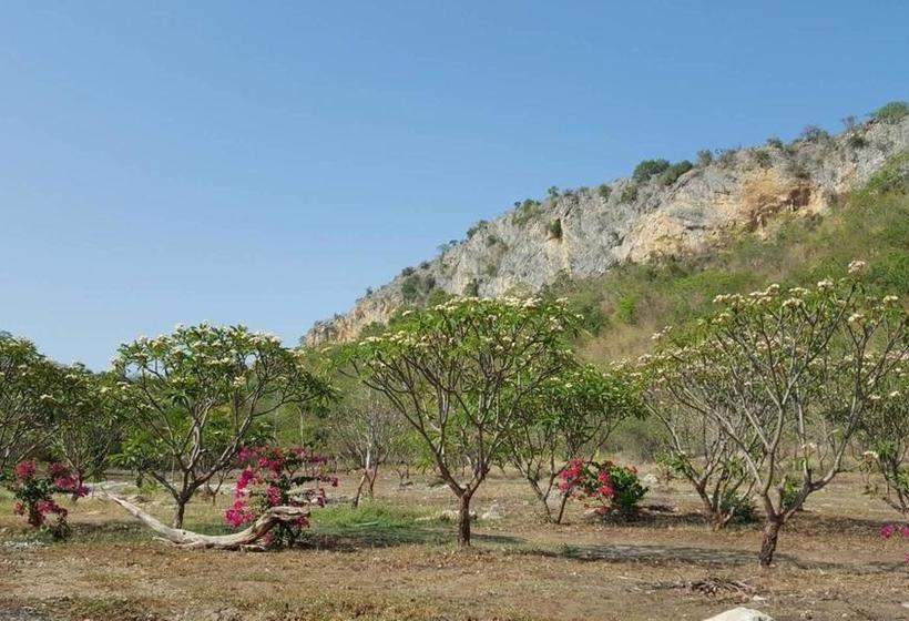 Phurang Hill Resort 19