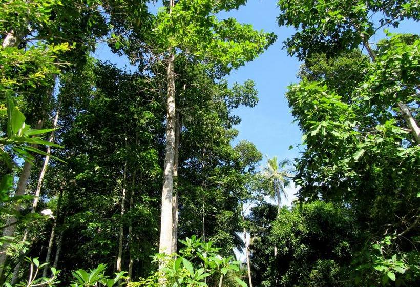 Samui Hideaway Boutique B&b 4