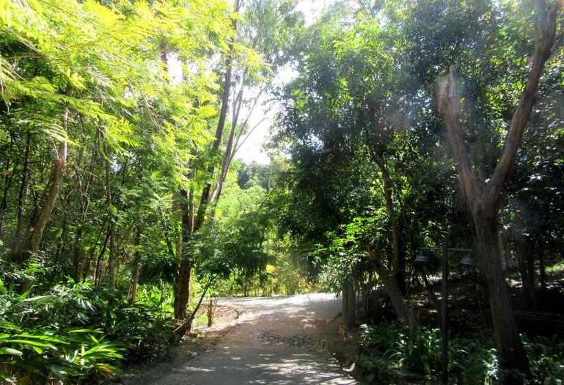 Samui Hideaway Boutique B&b 8