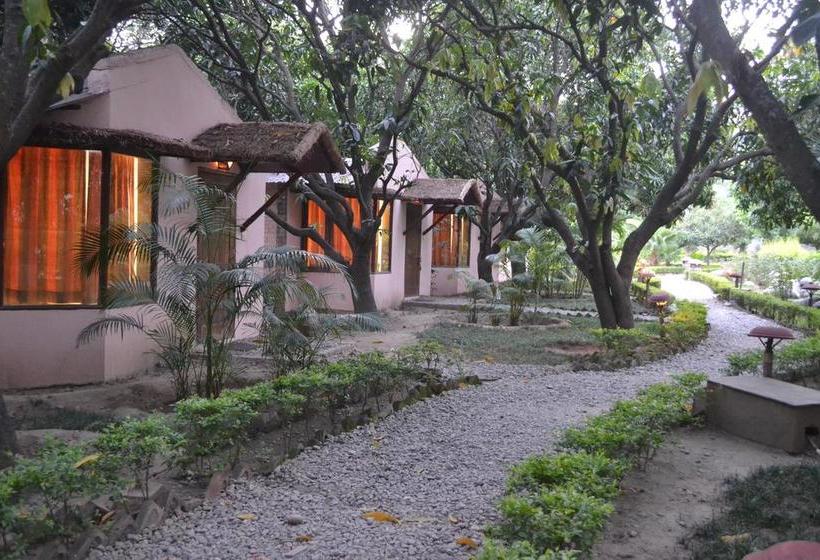 Resort Vanya River Lodge 1