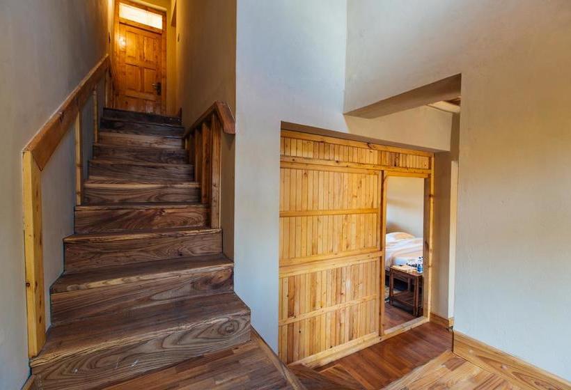 Ladakh Sarai Resort 11