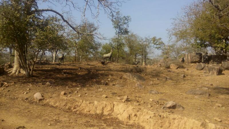 Hotel Karma Guest House 17