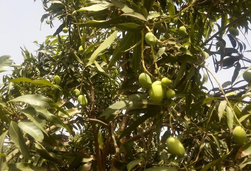 Hotel Karma Guest House 3