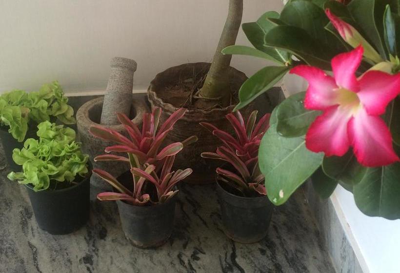 Bed and Breakfast Casa Maria Homestay 1