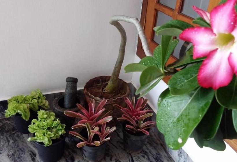 Bed and Breakfast Casa Maria Homestay 2