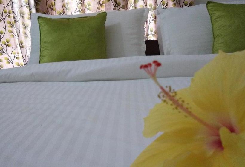 Bed and Breakfast Casa Maria Homestay 6