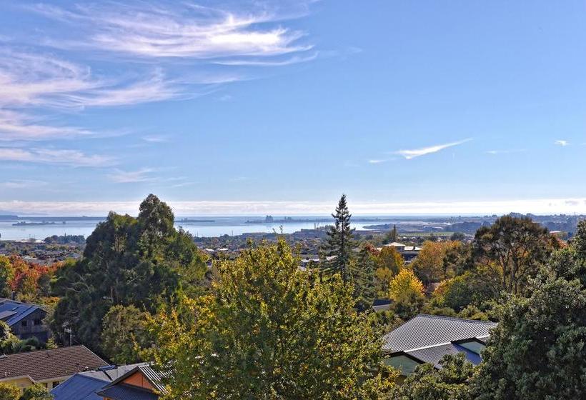 Bed and Breakfast The Treehouse 7