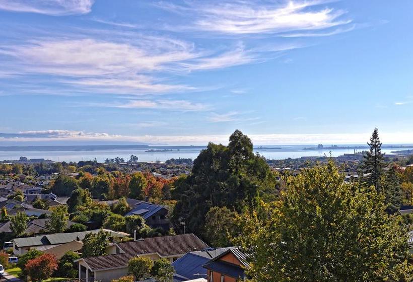 Bed and Breakfast The Treehouse 8