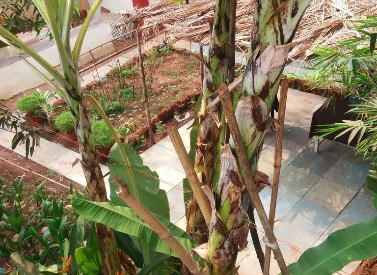 Session Haus Hostel 11