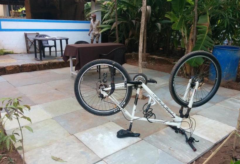 Session Haus Hostel 3