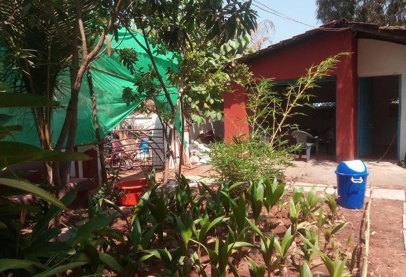 Session Haus Hostel 5