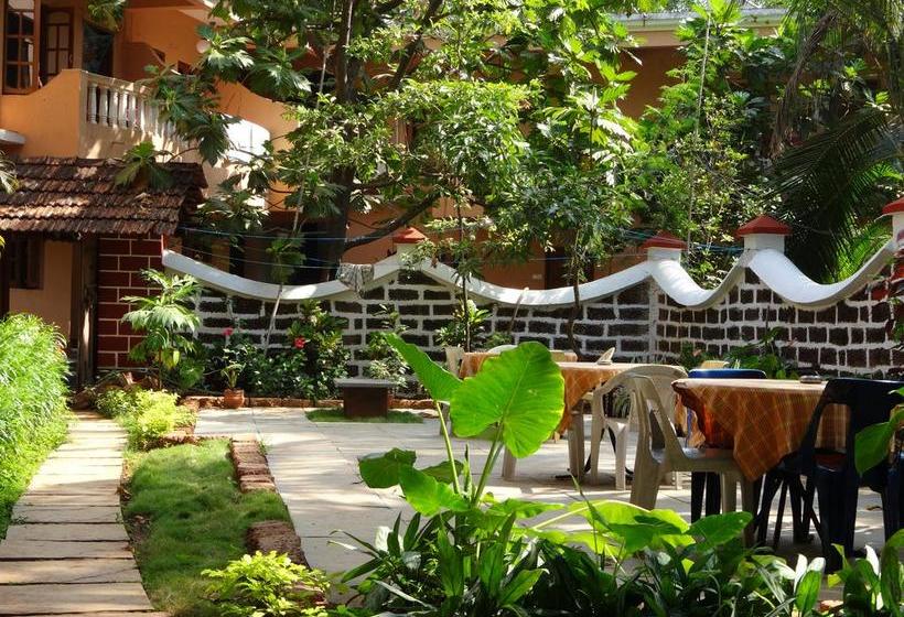 Session Haus Hostel 6