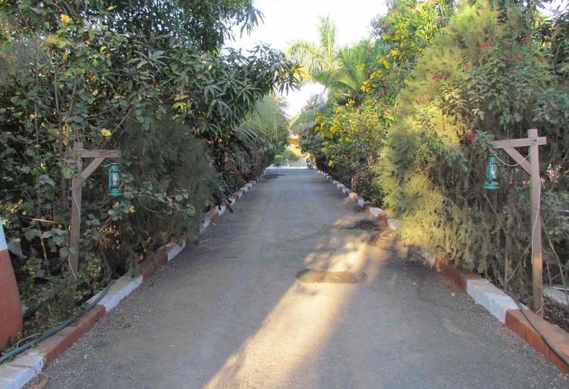 Resort Jenish Farm 10