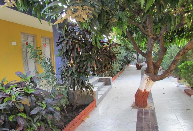 Resort Jenish Farm 11