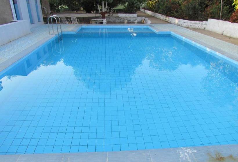 Resort Jenish Farm 12