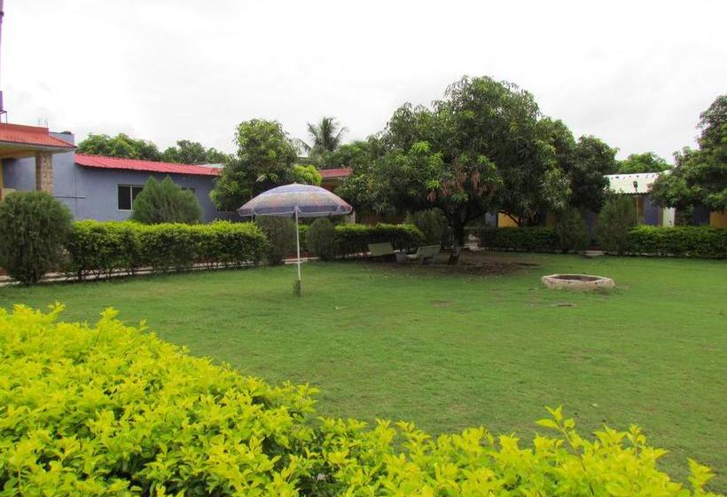 Resort Jenish Farm 13