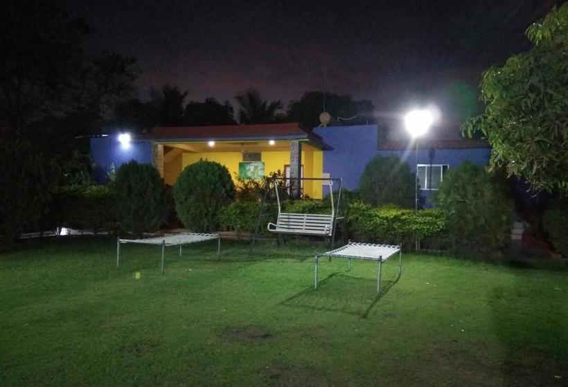 Resort Jenish Farm 6