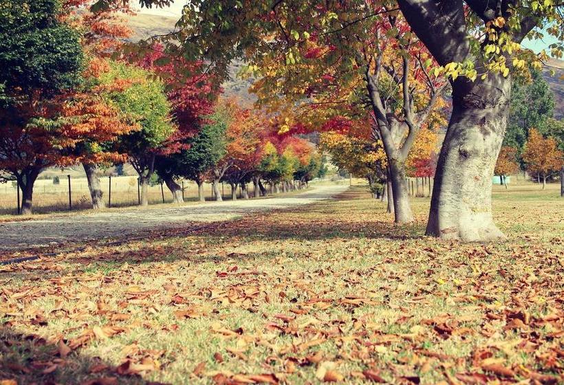 Bed and Breakfast The Farm Wanaka