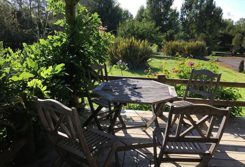 Farmgate Family Friendly B&b Whitianga 1