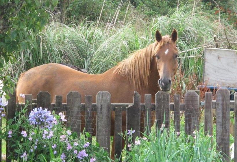 Spring Creek Farmlet B&b 1