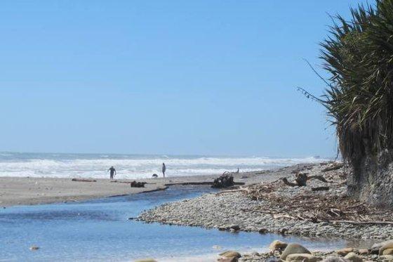 Spring Creek Farmlet B&b 12