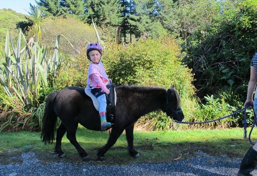 Spring Creek Farmlet B&b 5