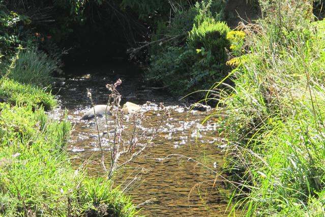 Spring Creek Farmlet B&b 8