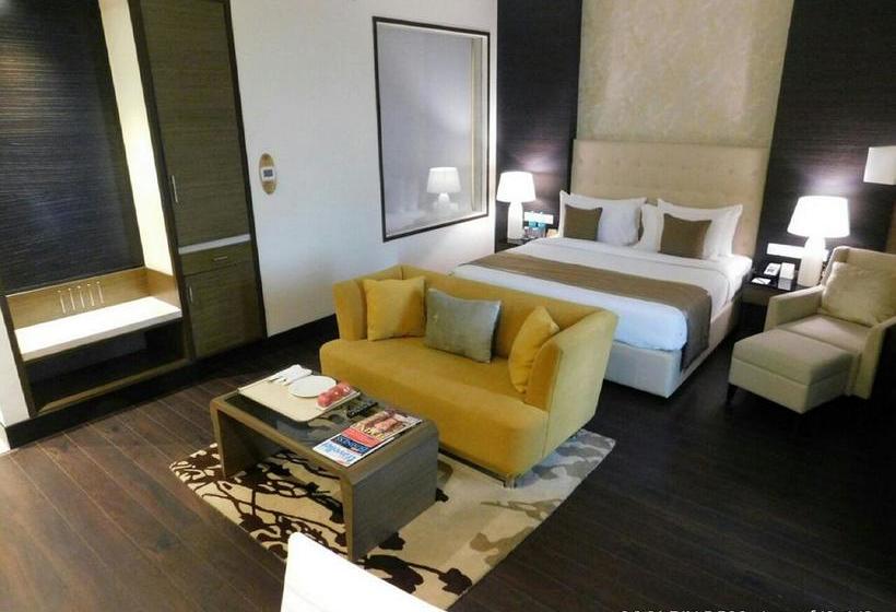 Hotel Sayaji Raipur 13