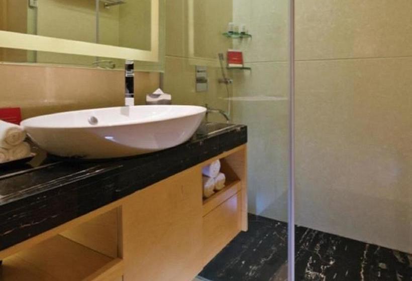 Hotel Sayaji Raipur 5