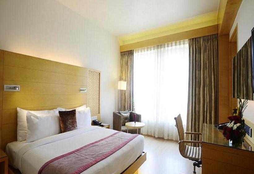 Hotel Sayaji Raipur 6