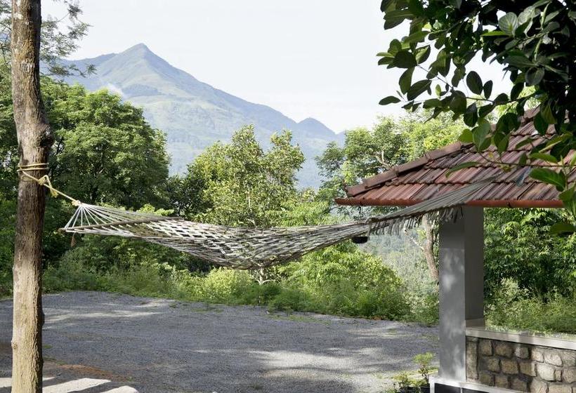 Bed and Breakfast Rock Haven Wayanad 16