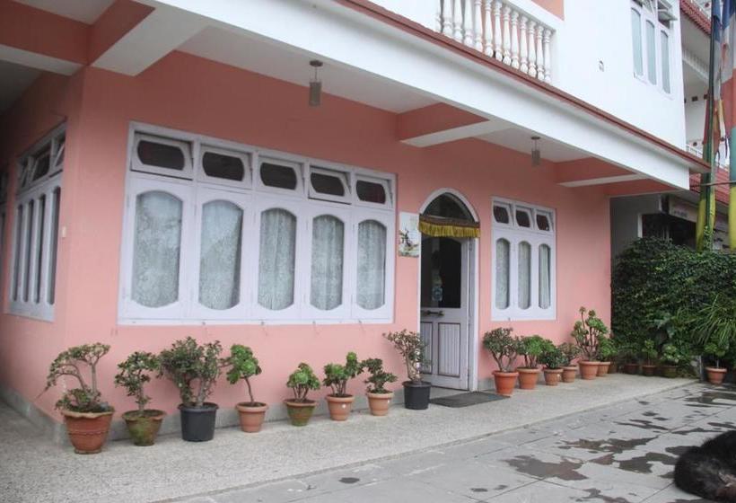 Hotel Pachu Residency 4