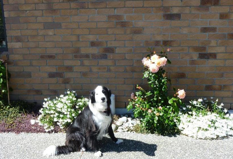 Bed and Breakfast Te Punga Private Room 12